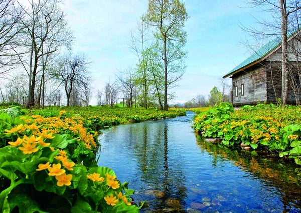 【山形空港発】 夏休み!家族みんなでとろけたい!おかしな甘色の北海道(3日間)3